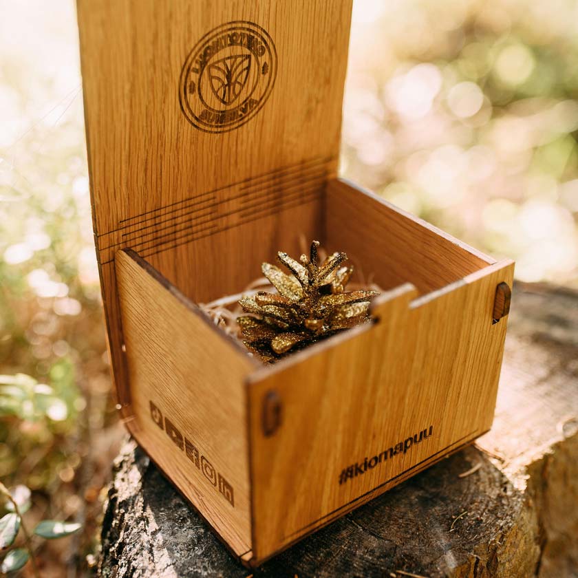 Oma Puu lahjaksi ekologinen ja aineeton lahja Sunsilva metsien puolesta tammi rasia