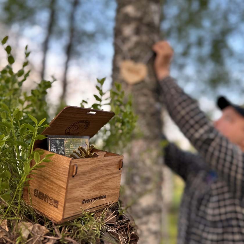 Eigener Baum als Geschenk – der Wald bedankt sich