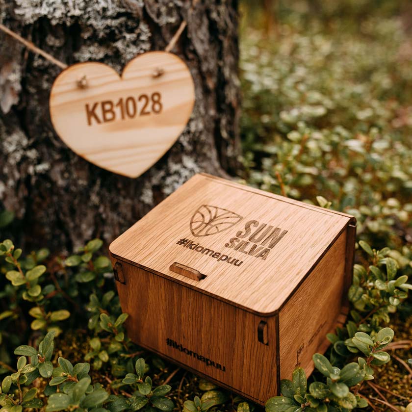 Eigener Baum als Geschenk – der Wald bedankt sich