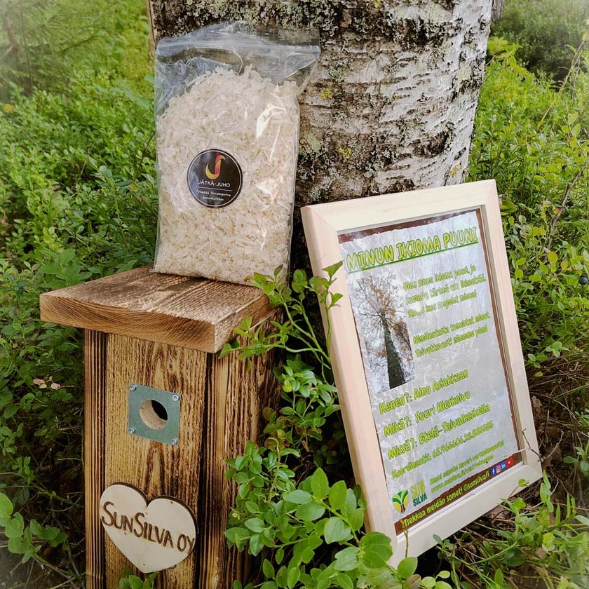 Oma puu ja linnunpönttö lahjaksi Sunsilva metsien puolesta