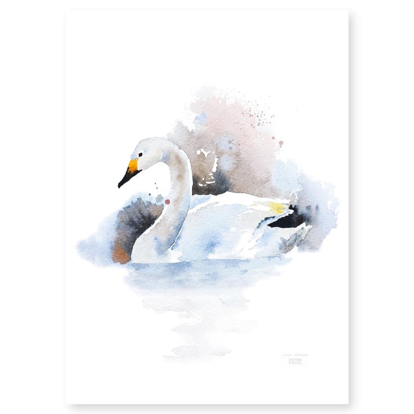 Schwan Poster und Bilderrahmen Set, Kunst aus finnischer Natur, hergestellt in Finnland, EsterVisual und Teemu Järvi Illustrations
