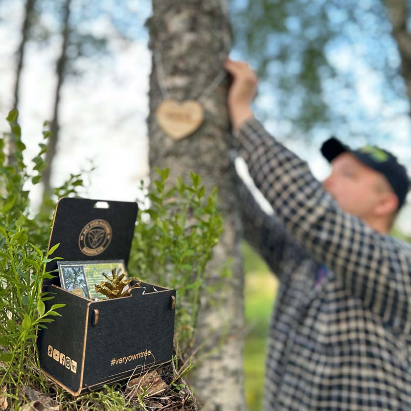 Eigener Baum als Geschenk – der Wald bedankt sich