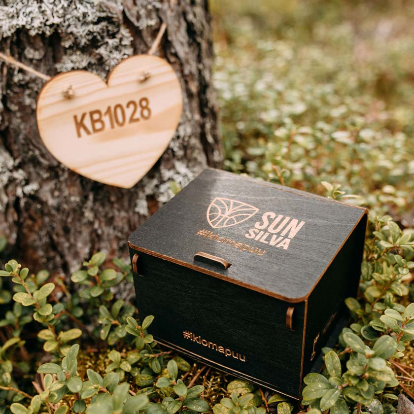 Eigener Baum als Geschenk – der Wald bedankt sich