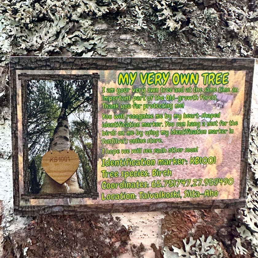 My very own tree Sunsilva Finland A tree gift