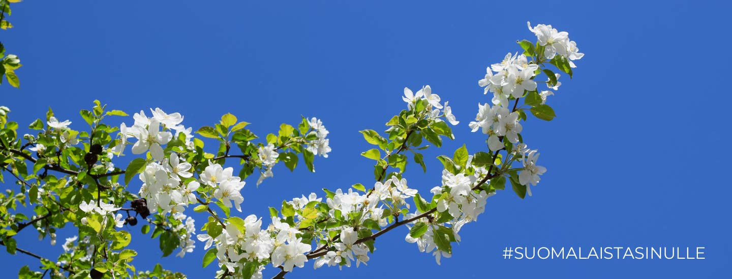 The Finland Shop suomalainen verkkokauppa