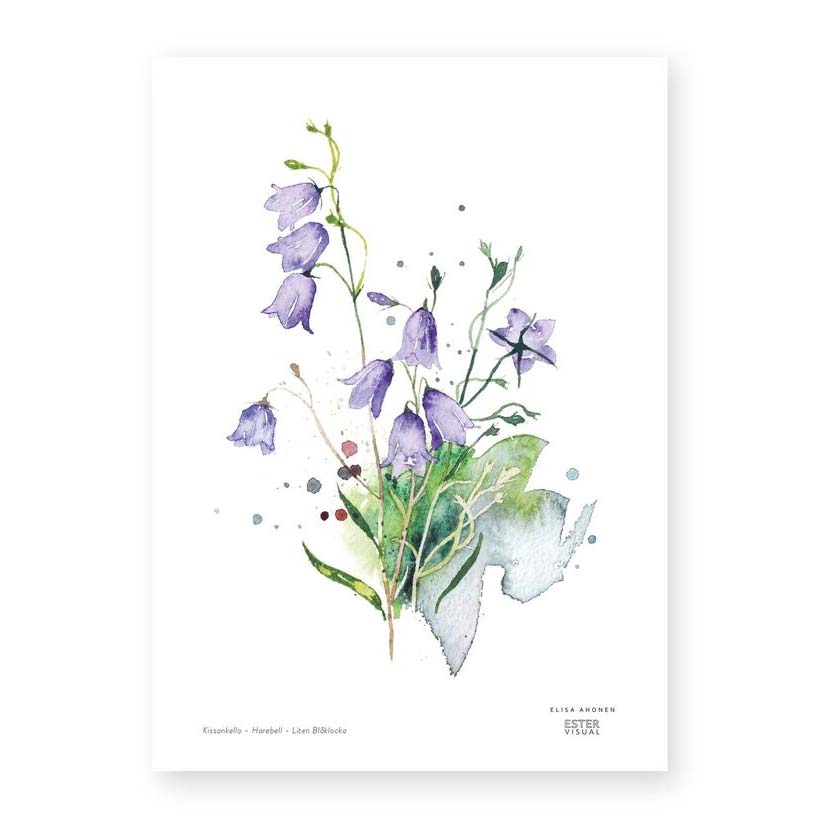 Kissankello juliste Ester Visual sisustusjuliste kasvi kukka