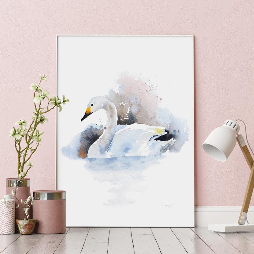 Joutsen juliste suomalainen luonto ester Visual kotimainen