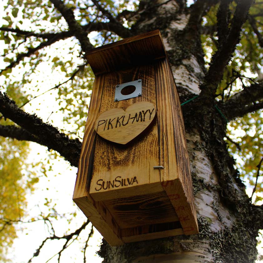 Oma puu ja linnunpönttö lahjaksi Sunsilva metsien puolesta