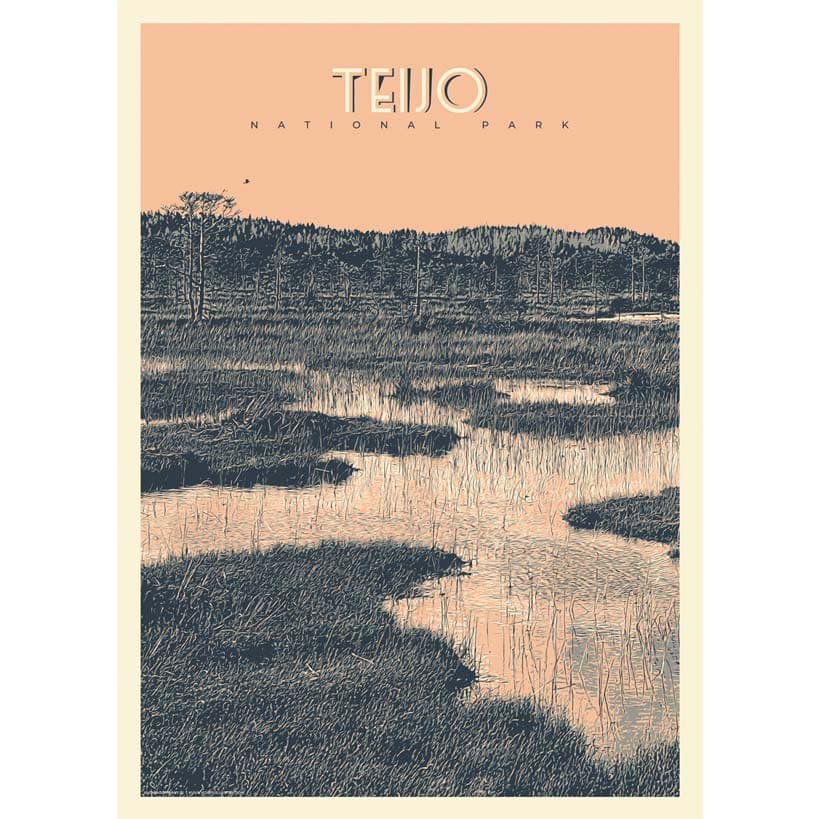 Teijo Suomen kansallispuisto juliste