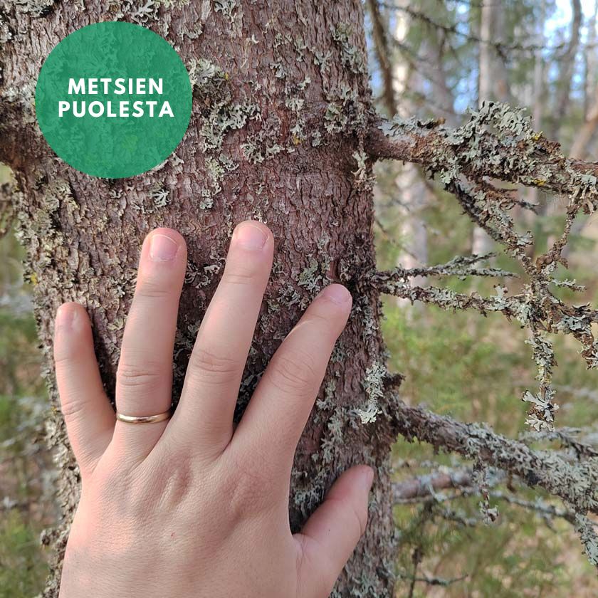 Oma Puu lahjaksi ekologinen ja aineeton lahja Sunsilva metsien puolesta